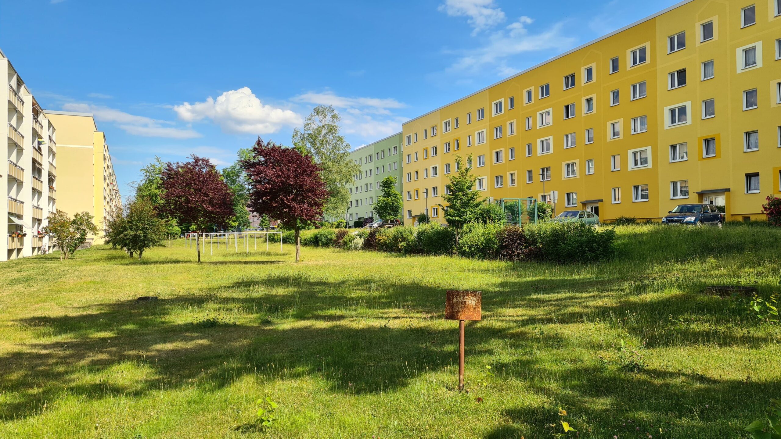 Große Müllsammel-Aktion in Sonnenstein – Mach mit!