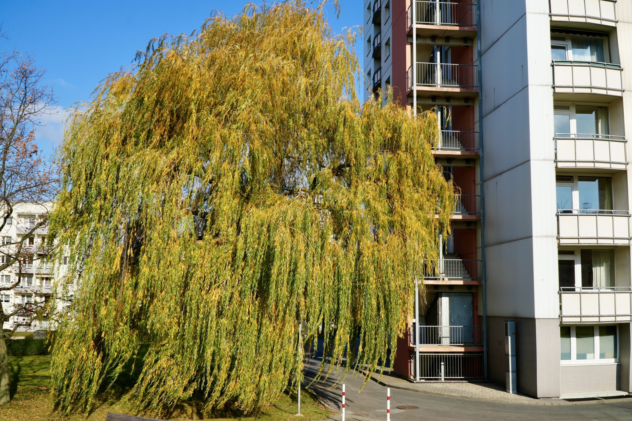 Große Müllsammel-Aktion in Sonnenstein – Mach mit!